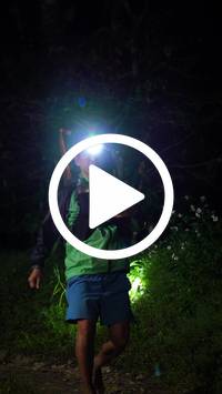 BIB:  <button type="button" onclick="openModal(27557977)" class="btn btn-primary btn-sm float-right" data-toggle="modal" data-target=".modal-high-quality">
                <i class="fa fa-download"></i> Download
                </button>